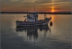 Newfoundland Fishing